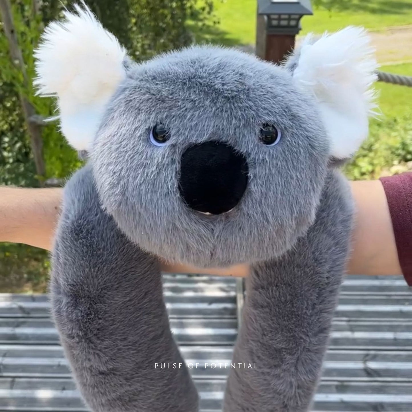 Sarılan Peluş Koala
