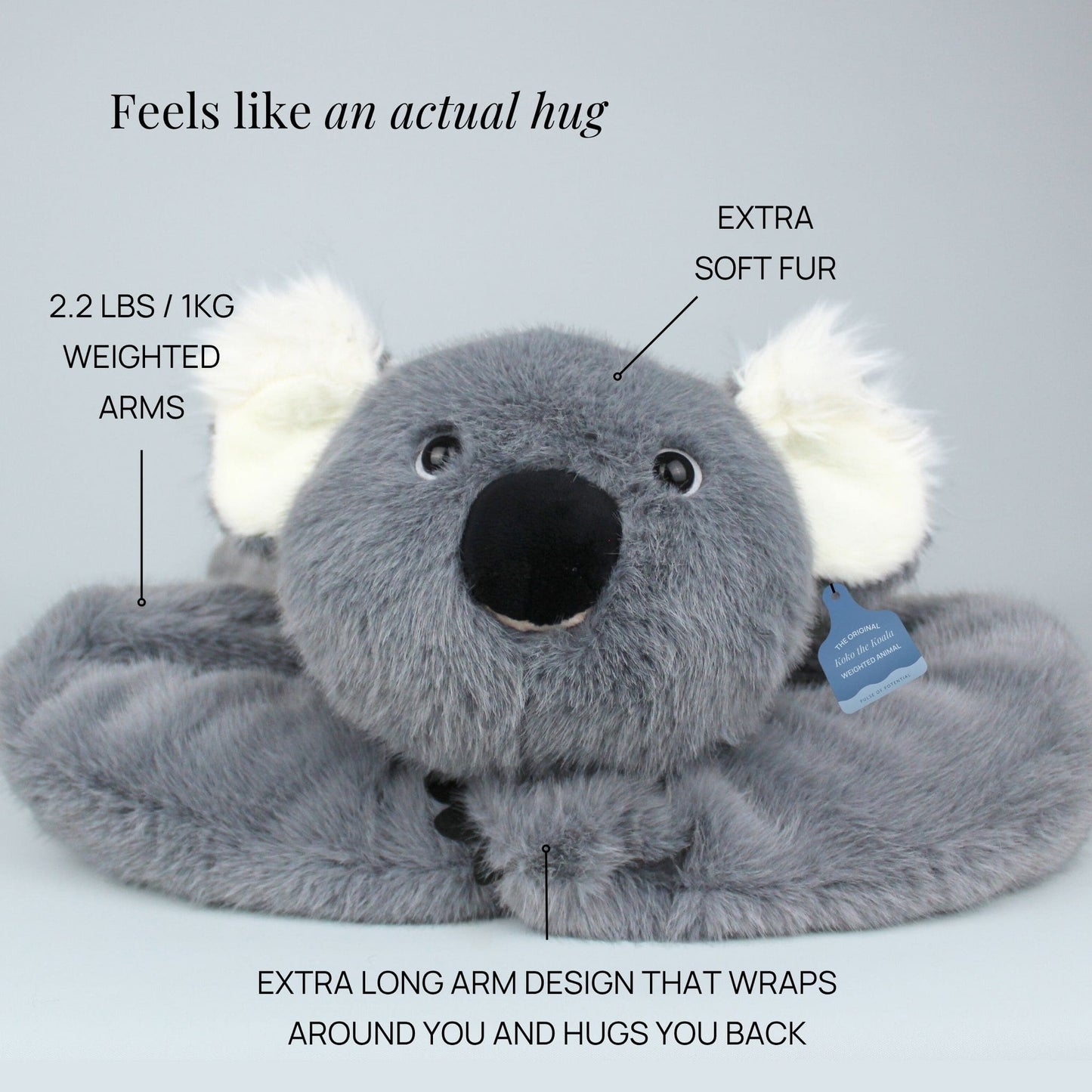 Sarılan Peluş Koala