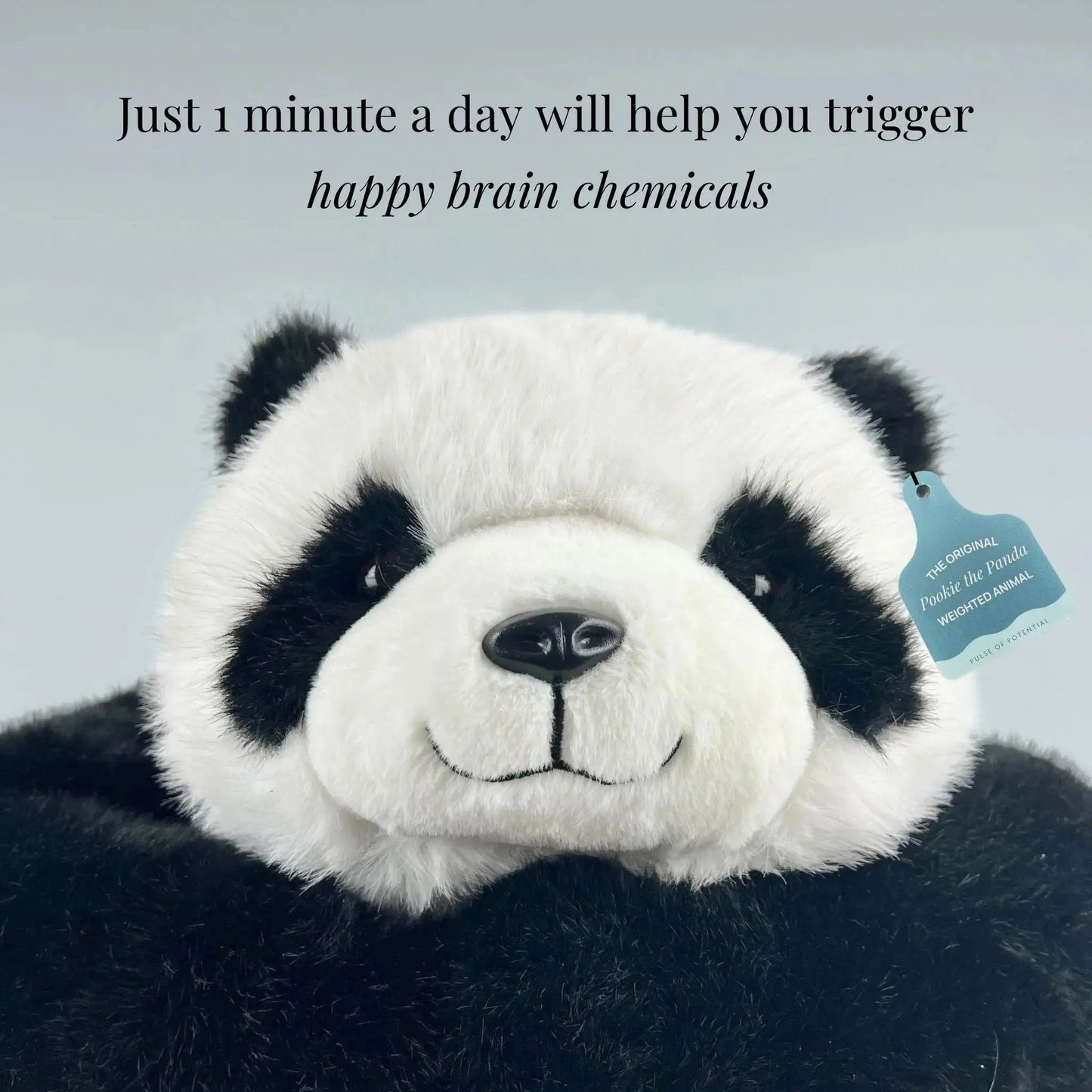 Sarılan Peluş Panda