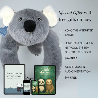 Sarılan Peluş Koala